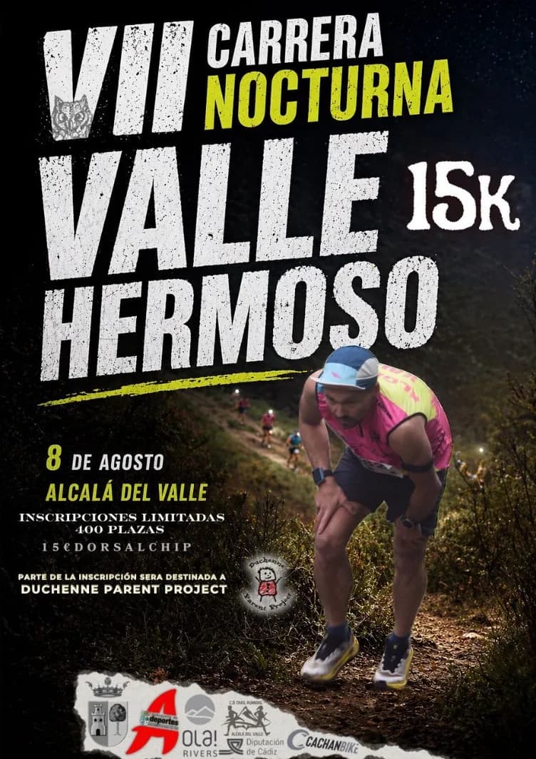 Cartel VII Carrera Nocturna Valle Hermoso